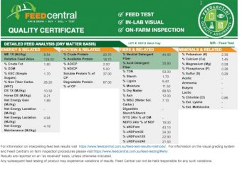 Vetch Hay 670kg 8x4x3 Bales