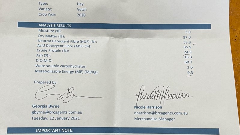 Vetch Hay. 100 mt Available