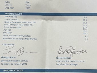 Vetch Hay. 100 mt Available