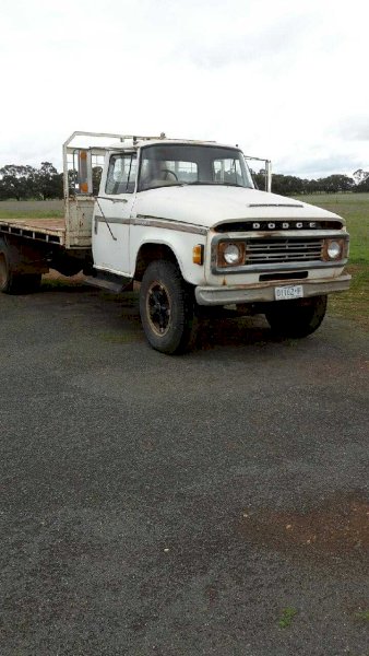 Dodge 600 Series Tip Truck, 318V8