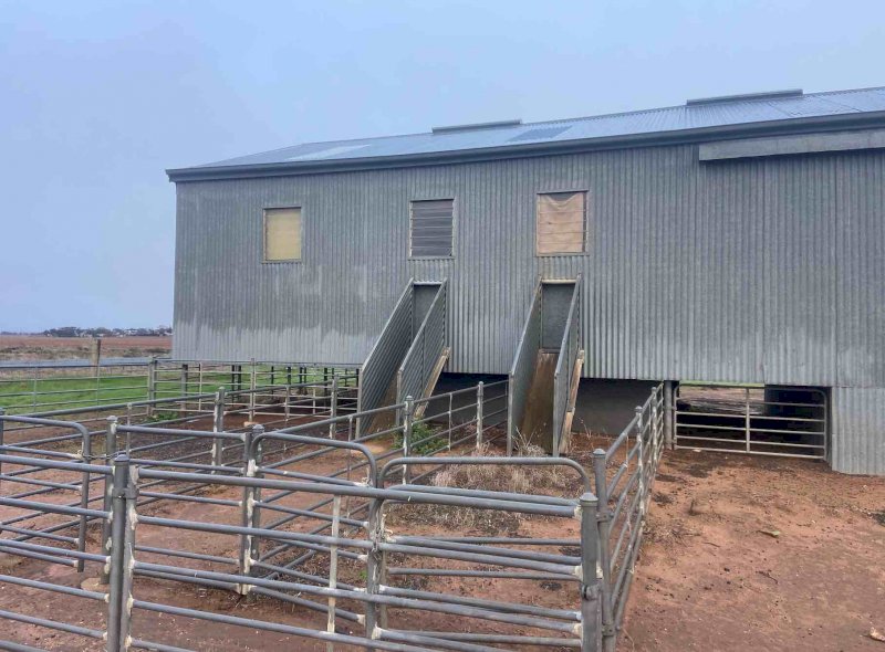 Shearing Shed For Sale Farm Tender