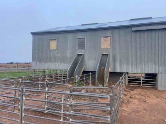Shearing Shed For Sale