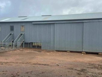 Shearing Shed For Sale