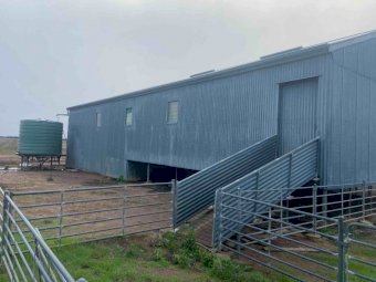Shearing Shed For Sale