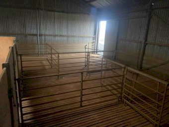 Shearing Shed For Sale