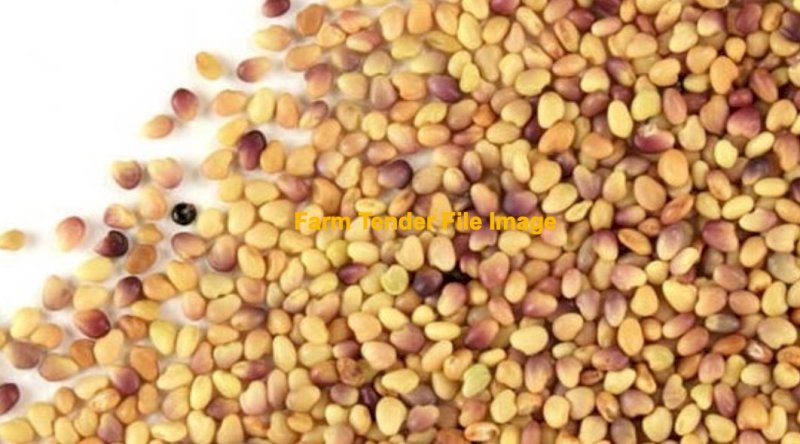 WANTED Red Clover Seed