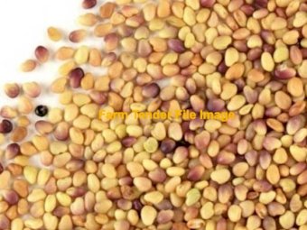 WANTED Red Clover Seed