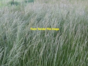 WANTED EOI - Hay for upcoming Season on Share Basis