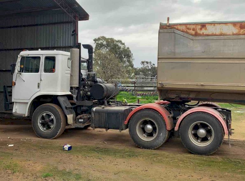 International 3070 Eagle