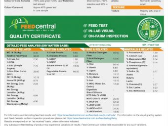 2020 Oaten Hay 200 mt available Shedded