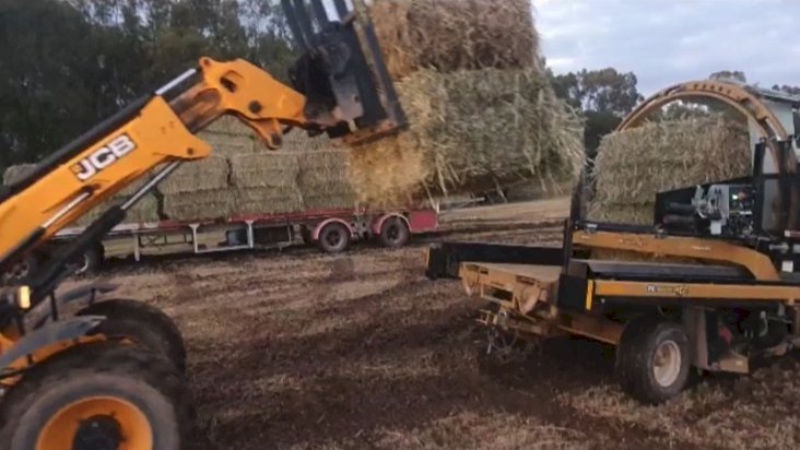 20mt Oaten Silage With A Trace Of Vetch (Lot 1)