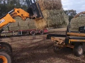 20mt Oaten Silage With A Trace Of Vetch (Lot 1)
