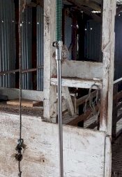 Under Auction - (A156)   Lister  Shearing Plant 