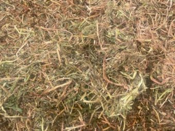 200mt Vetch Hay 625kg 8x4x3 Bales