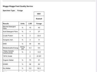 200mt Vetch Hay 625kg 8x4x3 Bales