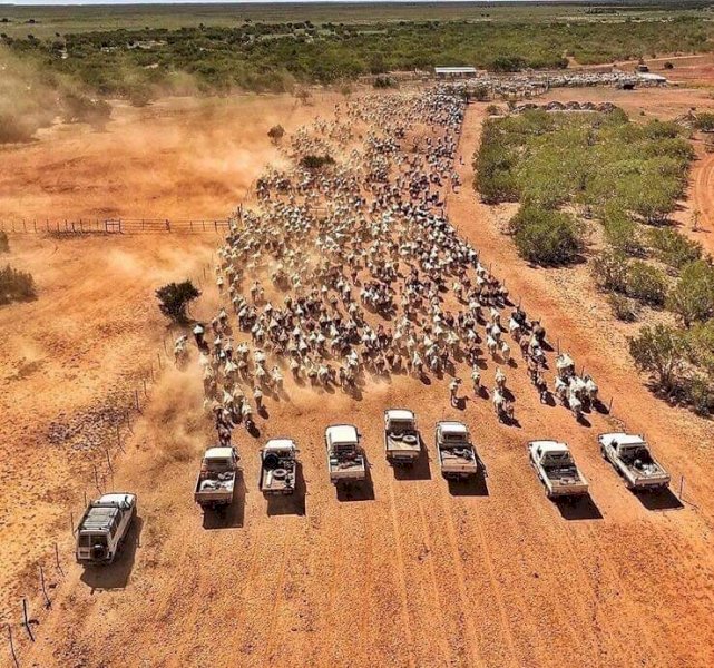 Marcus Oldham Agricultural Student looking for 3 to 4 weeks Work in Victoria