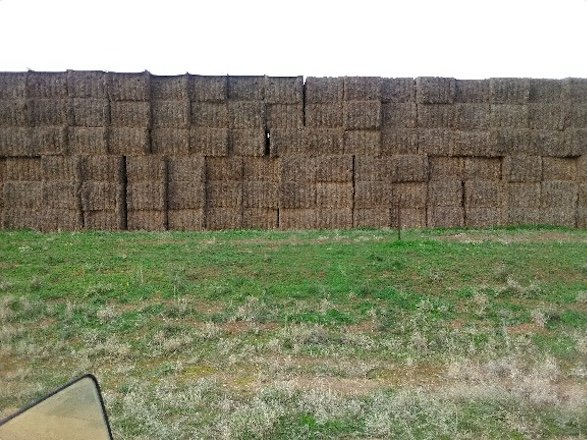 210mt Vetch Hay 600-650kg 8x4x3 Bales