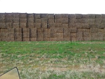 210mt Vetch Hay 600-650kg 8x4x3 Bales