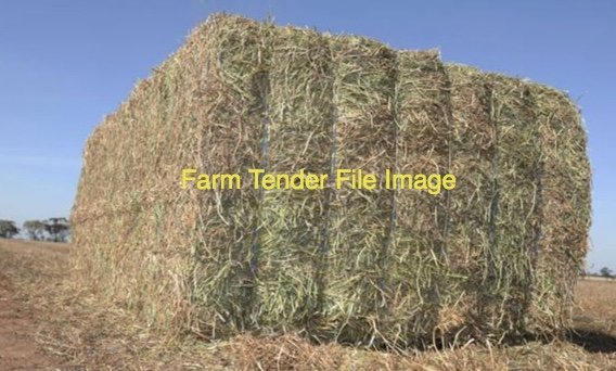 Vetch Hay Shedded