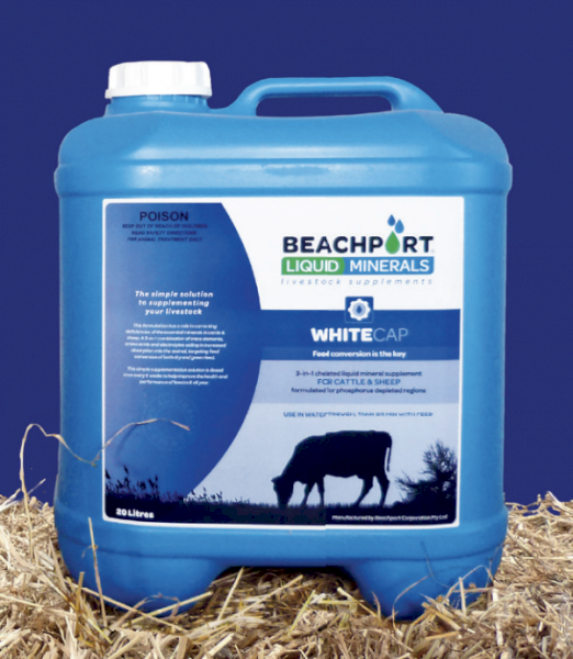 Beachport Liquid Minerals - White Cap - Northern Region