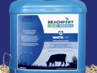 Beachport Liquid Minerals - White Cap - Northern Region