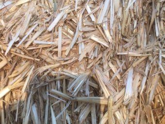 250 mt Barley Header Tailings Shedded