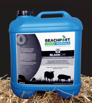 Beachport Liquid Minerals - Black Cap