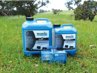 Beachport Liquid Minerals - Black Cap