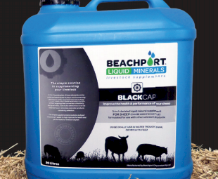 Beachport Liquid Minerals - Black Cap