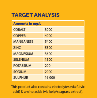Beachport Liquid Minerals - High Mag