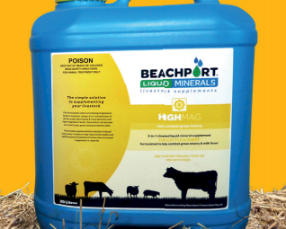 Beachport Liquid Minerals - High Mag