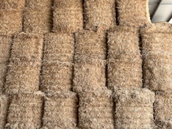 Barley Straw 500-550kg 8x4x4 Bales (Header Tailings)