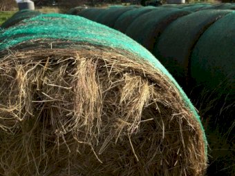 Rye Grass Hay Mix 5x4 Round Bales