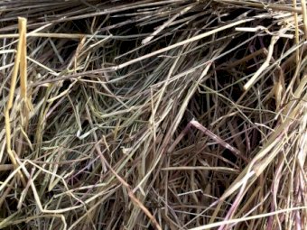 Rye Grass Hay Mix 5x4 Round Bales