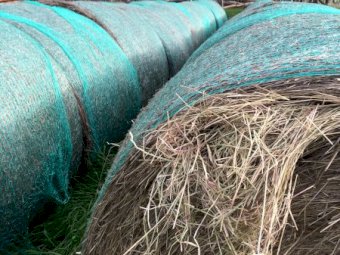 Rye Grass Hay Mix 5x4 Round Bales