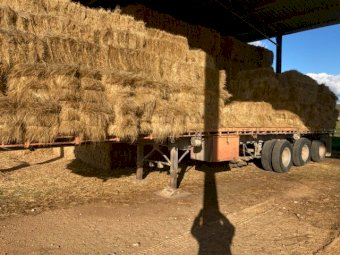 Haulmark 40ft Tri-Axle Trailer