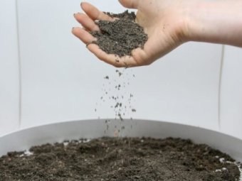 Rescue Blend Fertiliser - Ex Dinmore QLD.