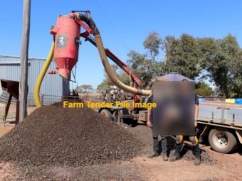 Contractor to Clean out under Shearing Shed