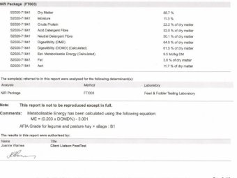 38mt Vetch Hay 580kg 8x4x3 Bales