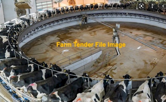 WANTED 50 Stand Rotary Dairy with cups on outside of Platform