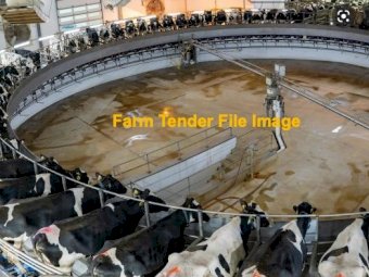 WANTED 50 Stand Rotary Dairy with cups on outside of Platform