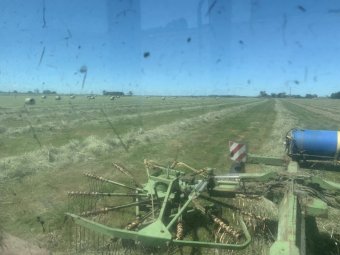 Krone Swadro 761 Hay Rake