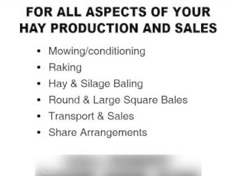 WANTED Standing Vetch & Clover Crops