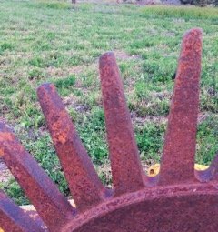 Western 7 Wheel Stick/Rock Rake