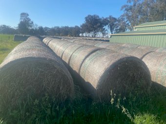 150mt Oaten Hay 5x4 Rolls - 2020 Hay