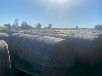 150mt Oaten Hay 5x4 Rolls - 2020 Hay