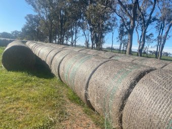 150mt Oaten Hay 5x4 Rolls - 2020 Hay