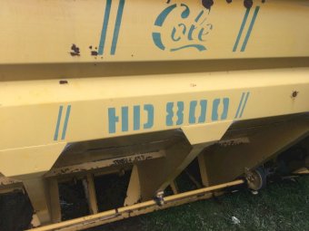 Cole HD800 Grouper