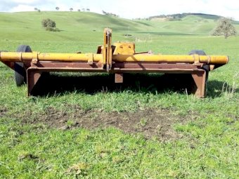 Paige Trailing Slasher. 5ft