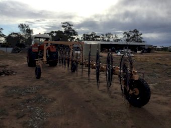 11 Wheel Elsworth In-Line Rake